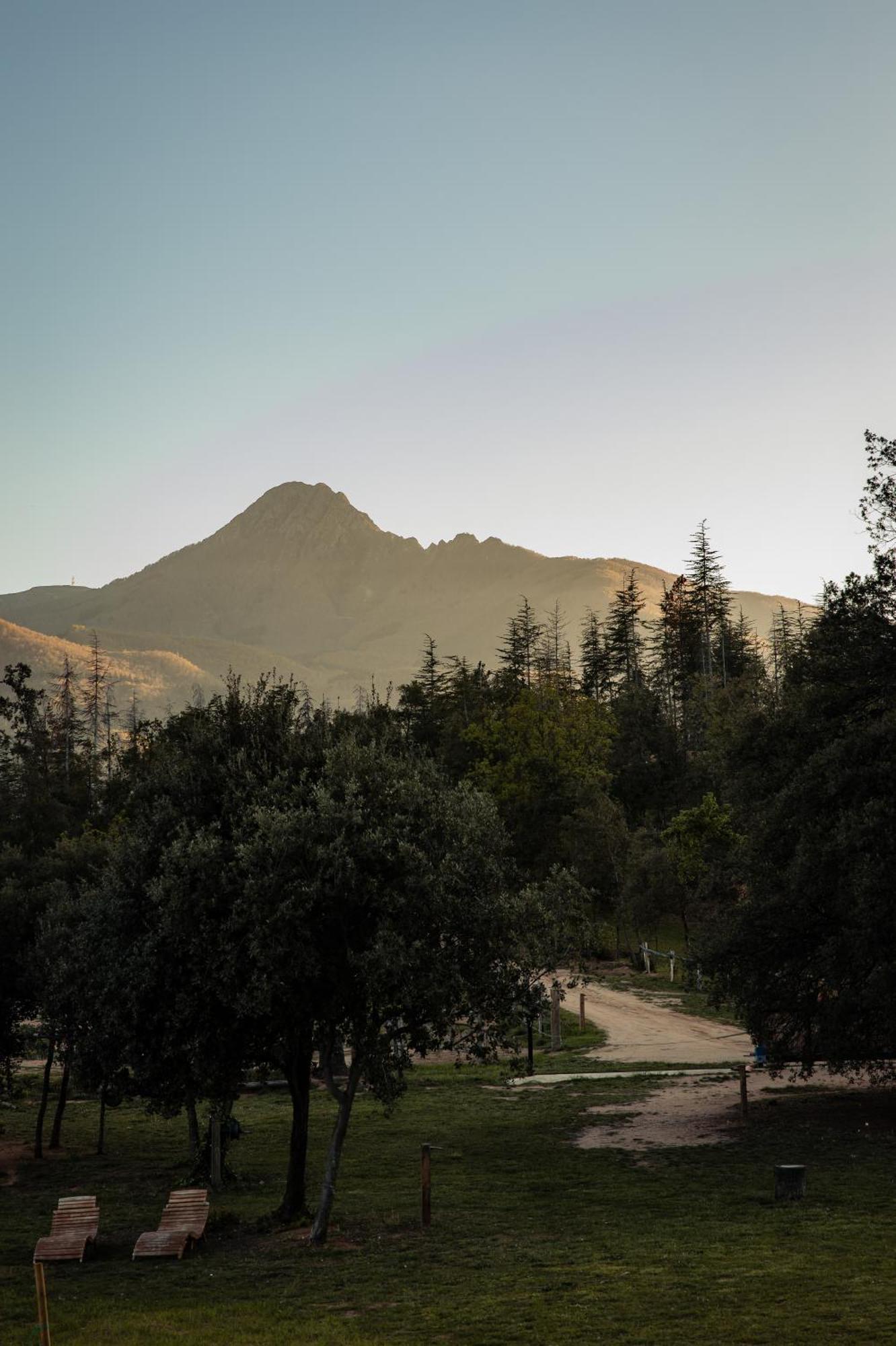 La Paradella - Apartamento De Uso Turistico Arbúcies Exteriér fotografie