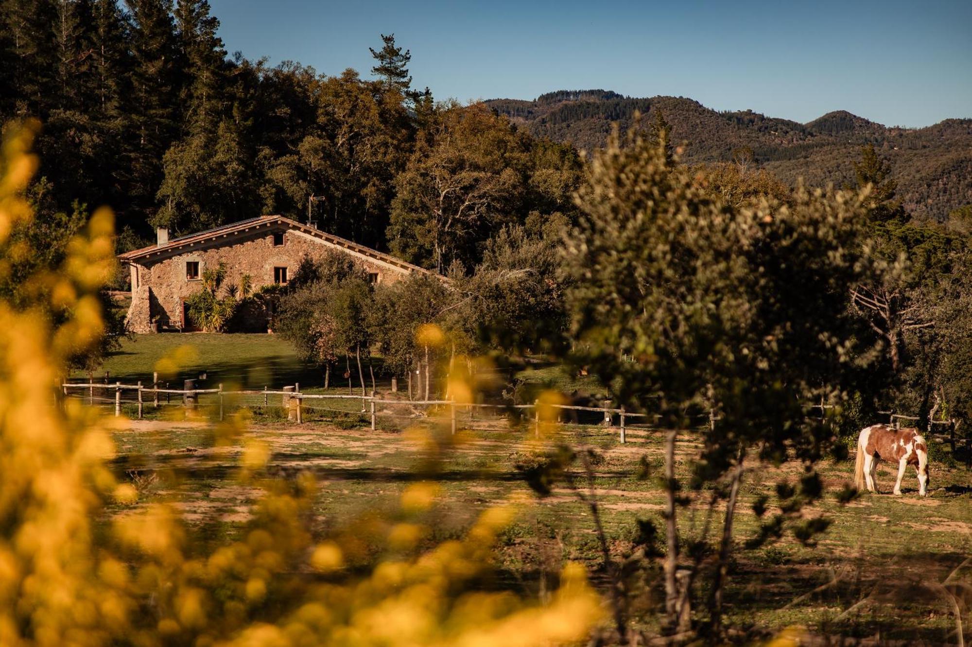 La Paradella - Apartamento De Uso Turistico Arbúcies Exteriér fotografie